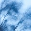 thumbs/IMG_4030.jpg